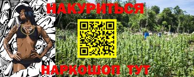 наркотики Новозыбков